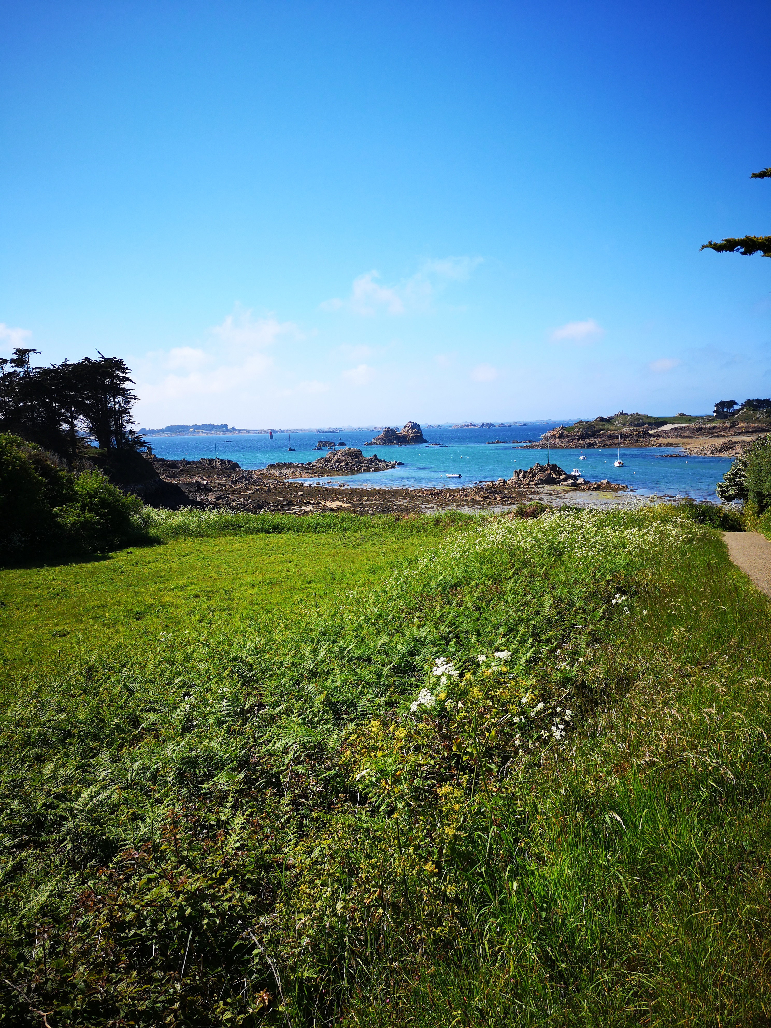 Photo n° 1 de l'avis de Jeff.h fait le 26/05/2019 à 11:37