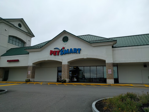 Pet Supply Store «PetSmart», reviews and photos, 213 Daniel Webster Hwy, Nashua, NH 03060, USA