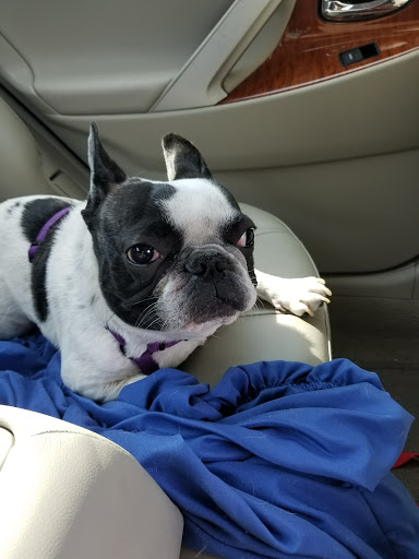 Grocery Store «ShopRite of Flanders», reviews and photos, 90 Bartley Rd, Flanders, NJ 07836, USA