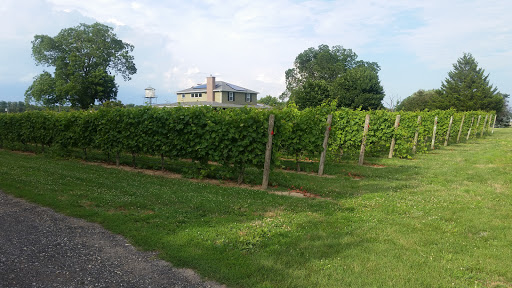 Winery «Bellview Winery», reviews and photos, 150 Atlantic St, Landisville, NJ 08326, USA