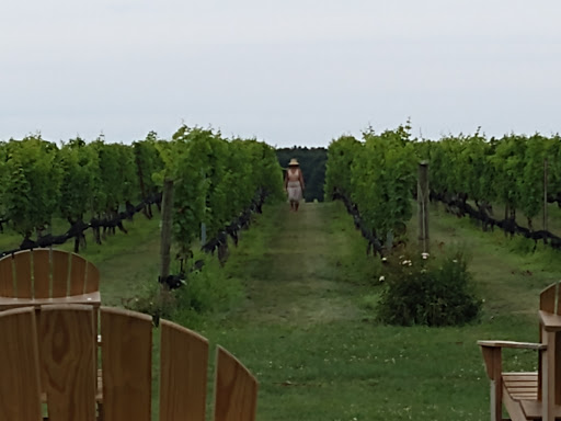Winery «Paumanok Vineyards», reviews and photos, 1074 Main Rd, Aquebogue, NY 11931, USA