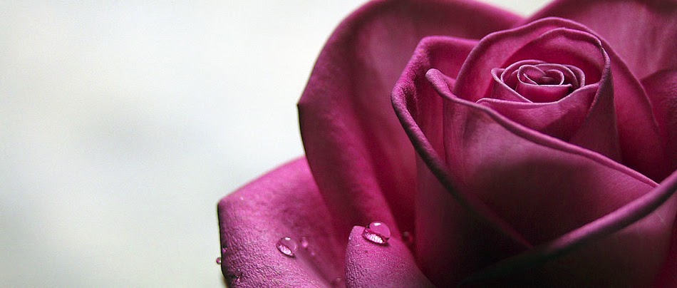 Wild Flower Healing Arts - Pamela Sabin - Massage Iowa City 52240