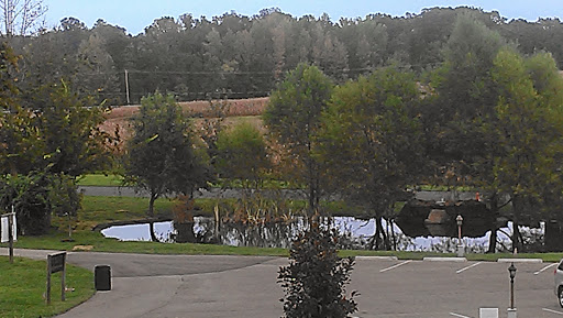 Winery «Paris Winery», reviews and photos, 2982 Harvey Bowden Rd, Paris, TN 38242, USA