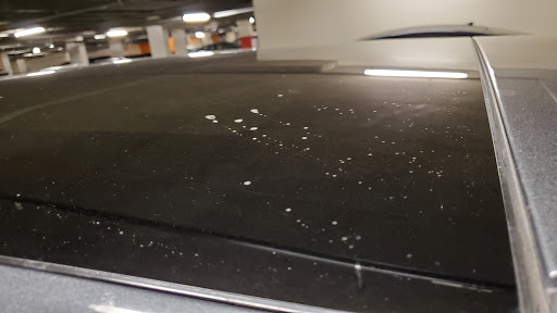 Car Wash «Classic Car Wash - Los Gatos», reviews and photos, 16500 Lark Ave, Los Gatos, CA 95032, USA