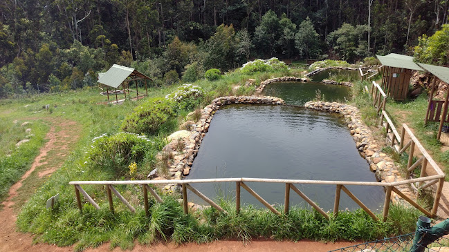 Parque Ribeira Primeira