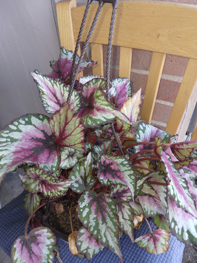 Home Improvement Store «The Home Depot», reviews and photos, 150 Hampton Park Blvd, Capitol Heights, MD 20743, USA