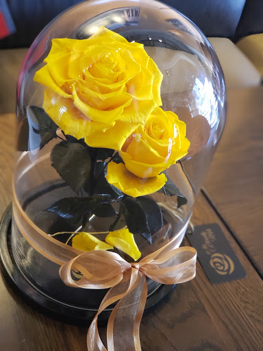 Coffee Shop «Starbucks», reviews and photos, 1508 N Westshore Blvd, Tampa, FL 33607, USA