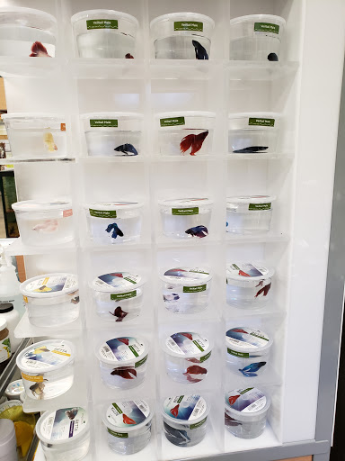 Pet Supply Store «Petco Animal Supplies», reviews and photos, 15475 Annapolis Rd #100, Bowie, MD 20715, USA