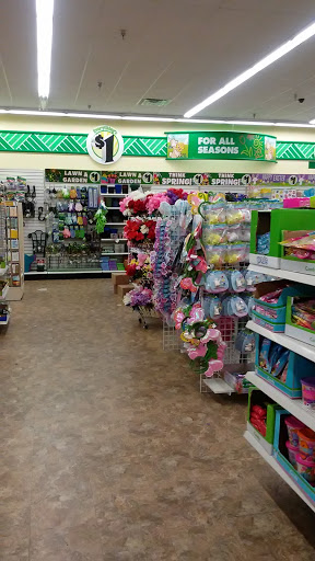 Dollar Tree