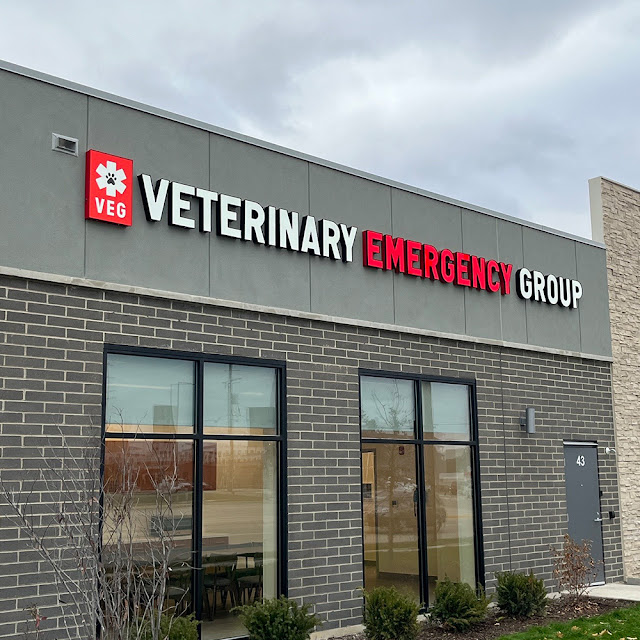 Veterinary Emergency Group
