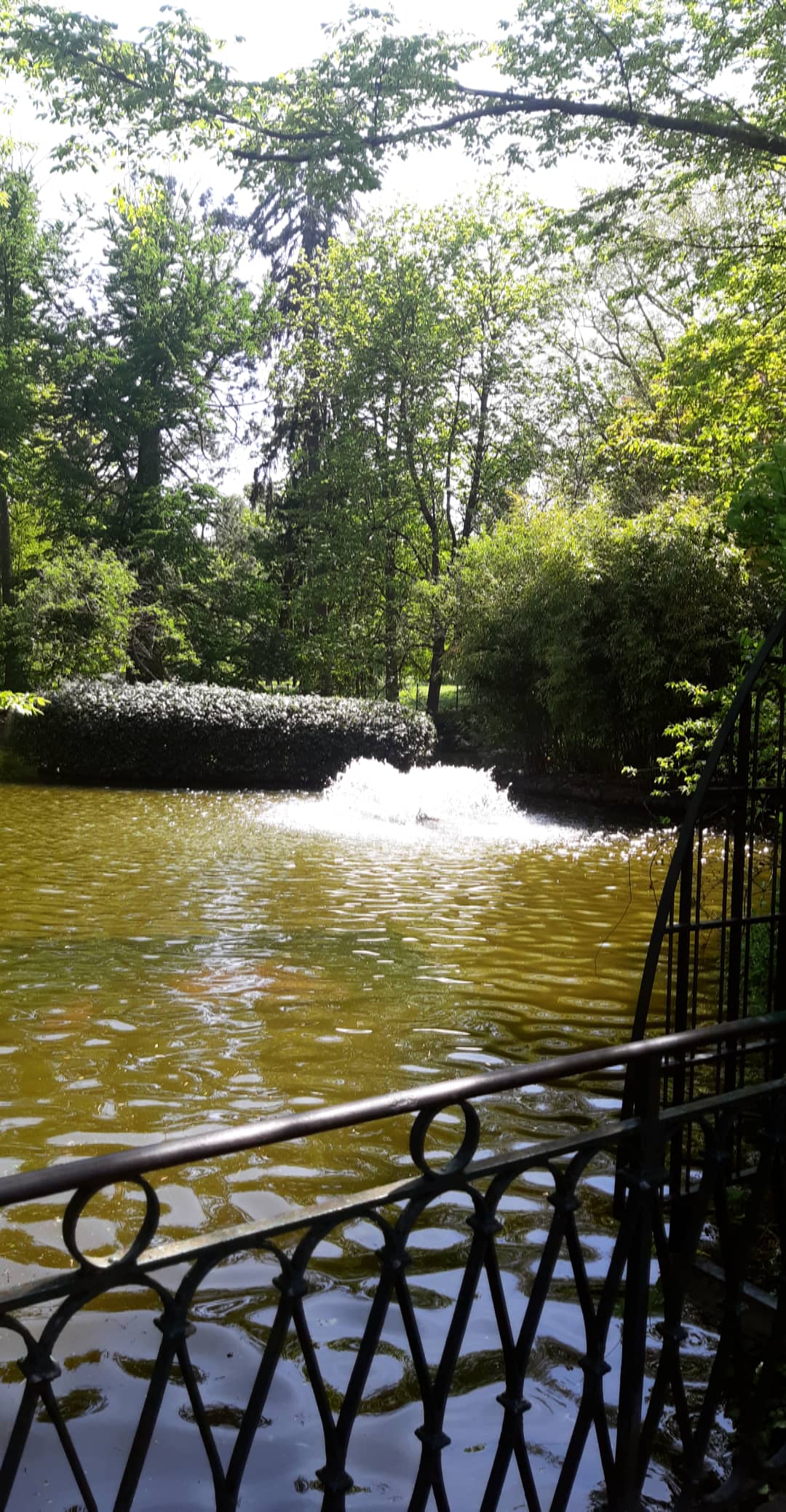 Photo n° 1 de l'avis de Alice.d fait le 01/05/2019 à 14:16
