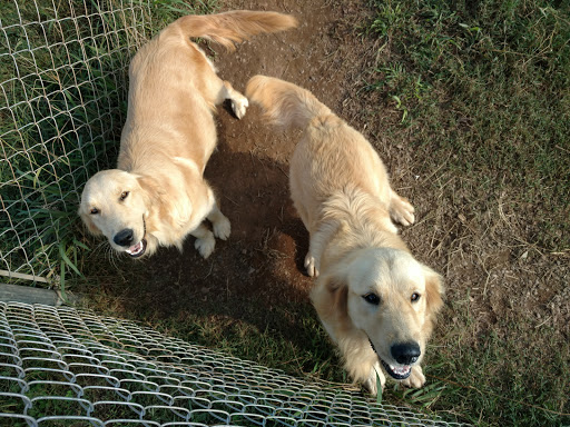 Farm «Jaemor Farms», reviews and photos, 5340 Cornelia Hwy, Alto, GA 30510, USA