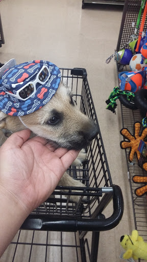 Pet Supply Store «Petco Animal Supplies», reviews and photos, 2140 W Cleveland Ave #100, Madera, CA 93637, USA