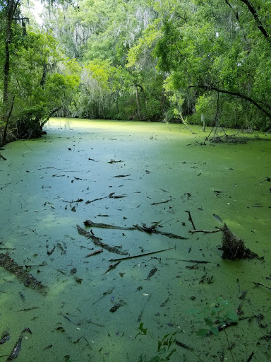 Park «Alafia River State Park», reviews and photos, 14326 S County Rd 39, Lithia, FL 33547, USA