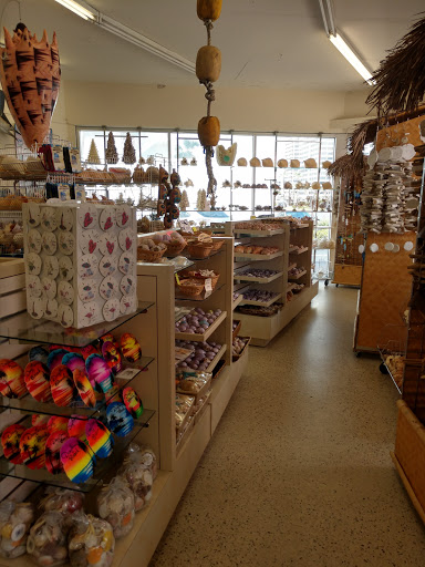 Gift Shop «Big Shark», reviews and photos, 2715 N Atlantic Ave, Daytona Beach, FL 32118, USA