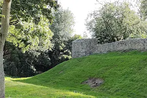 Montgomery Town Walls image
