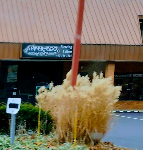 Body Piercing Shop «Alter Ego Body Art Studio», reviews and photos, 4136 Library Rd, Castle Shannon, PA 15234, USA