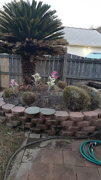 Mr. Davis Lawn Service LLC - Photo 3 - Car repair in , Macon