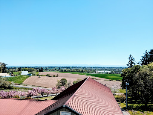 Vineyard «Cristom Vineyards», reviews and photos, 6905 Spring Valley Rd NW, Salem, OR 97304, USA