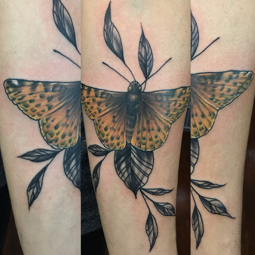 Tattoo Shop «Moth Studio», reviews and photos, 428 W Commercial St, Springfield, MO 65803, USA