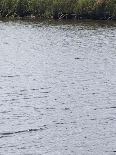 Tourist Attraction «Twister Airboat Rides», reviews and photos, 8199 W King St, Cocoa, FL 32926, USA