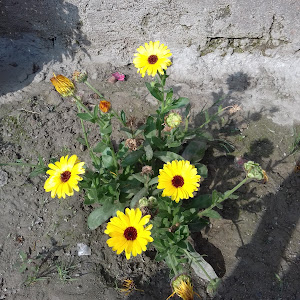 Md Jamal Wark Shop And Geswelding photo