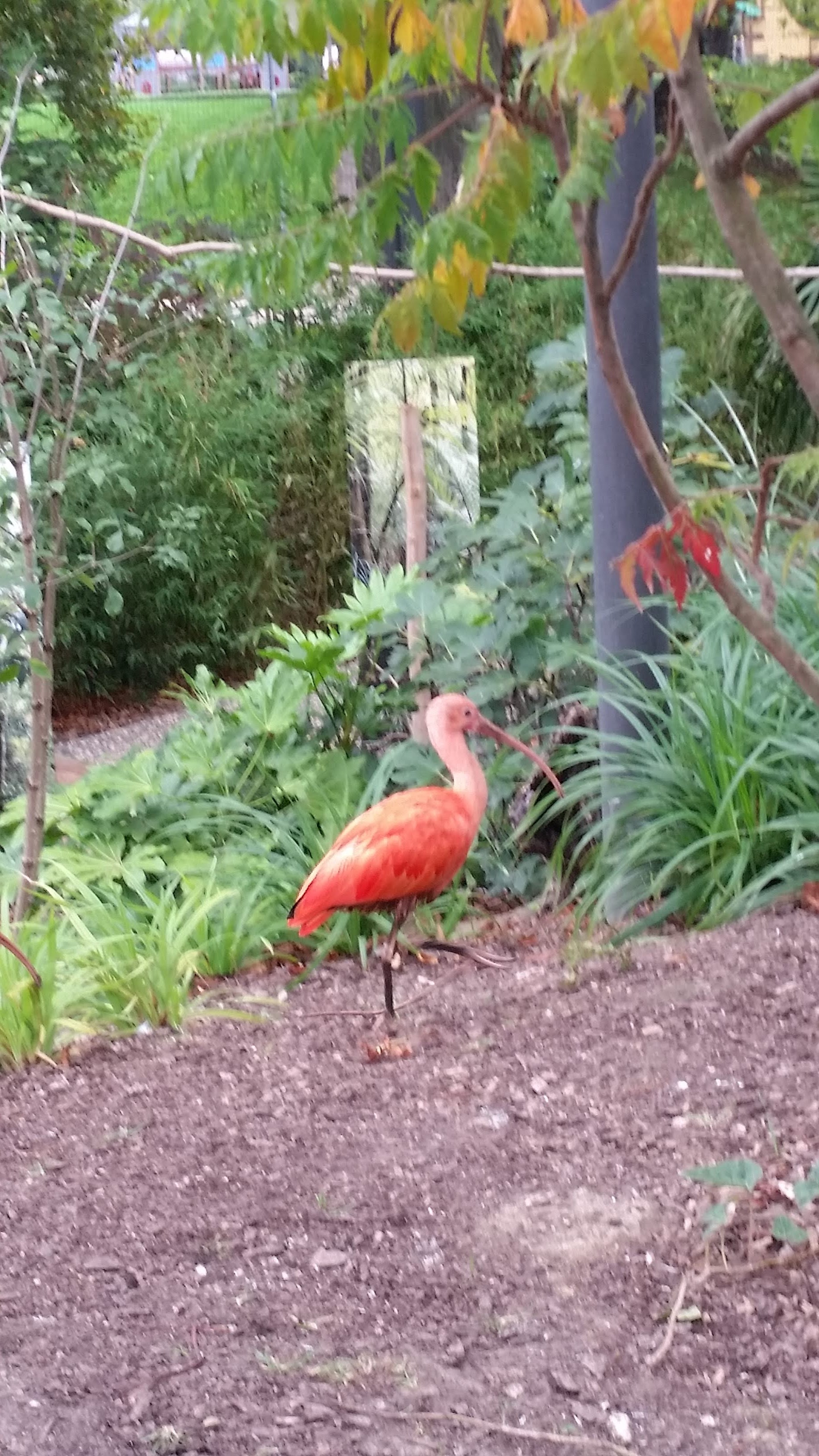 Photo n° 2 de l'avis de Adeline. fait le 08/10/2017 à 15:43