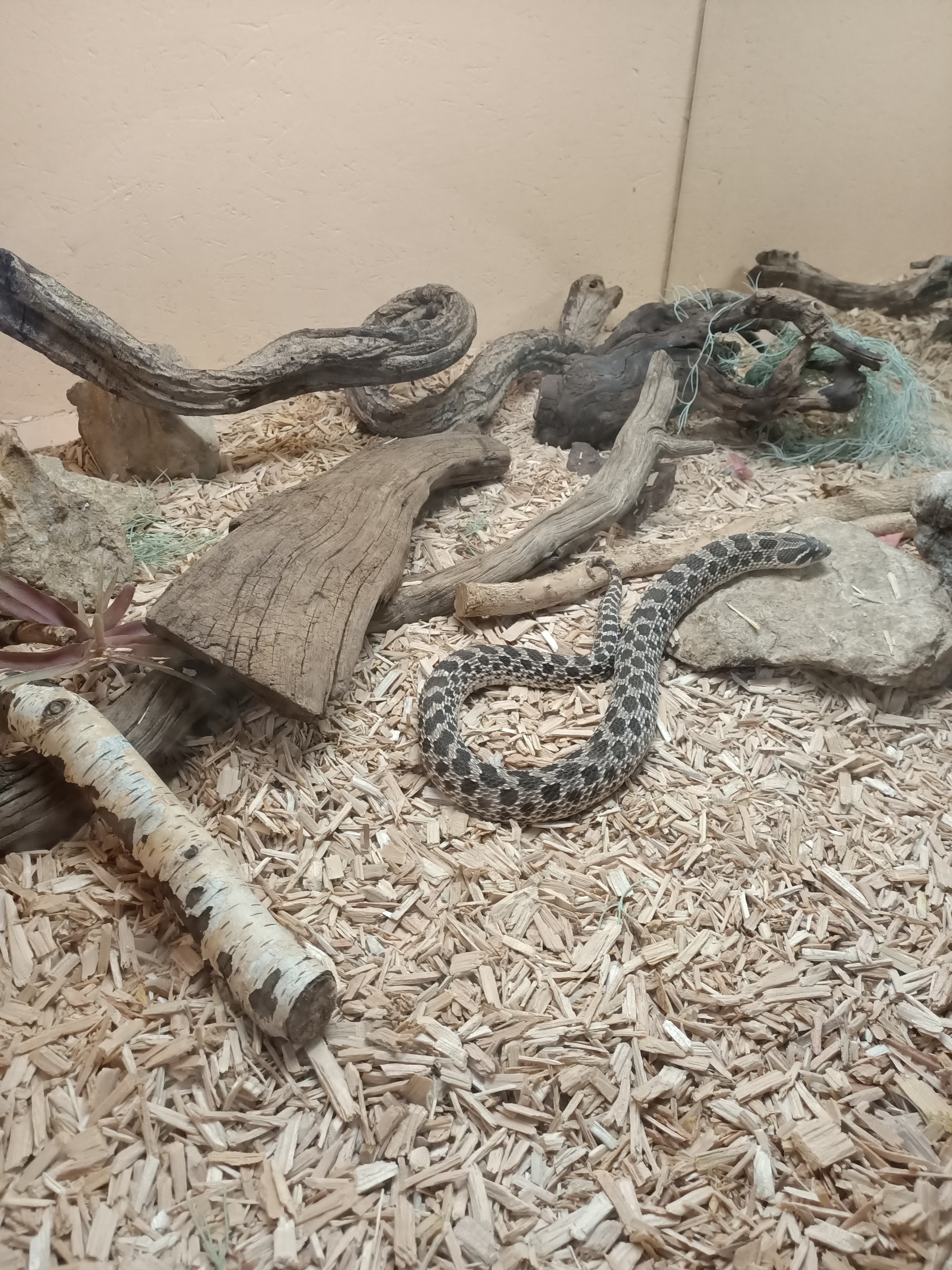 Photo n° 16 de l'avis de Dufau.a fait le 21/02/2024 à 14:51