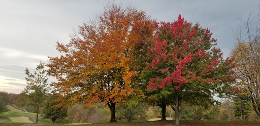 Park «Devou Park», reviews and photos, 1201 Park Dr, Covington, KY 41011, USA