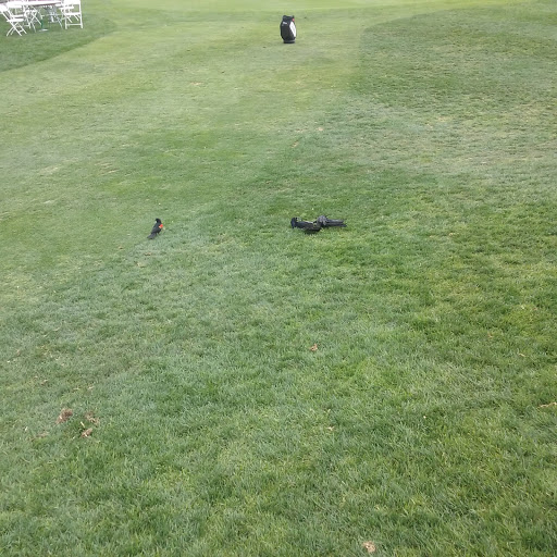 Resort «Morgan Run Club & Resort», reviews and photos, 5690 Cancha De Golf, Rancho Santa Fe, CA 92091, USA