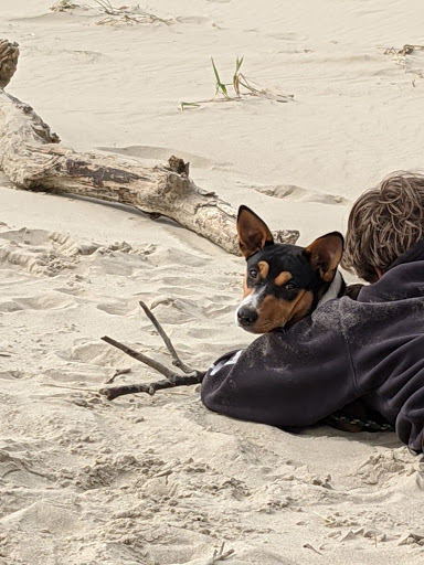 Pet Supply Store «Pacific Pets», reviews and photos, 528 SE Baseline St, Hillsboro, OR 97123, USA