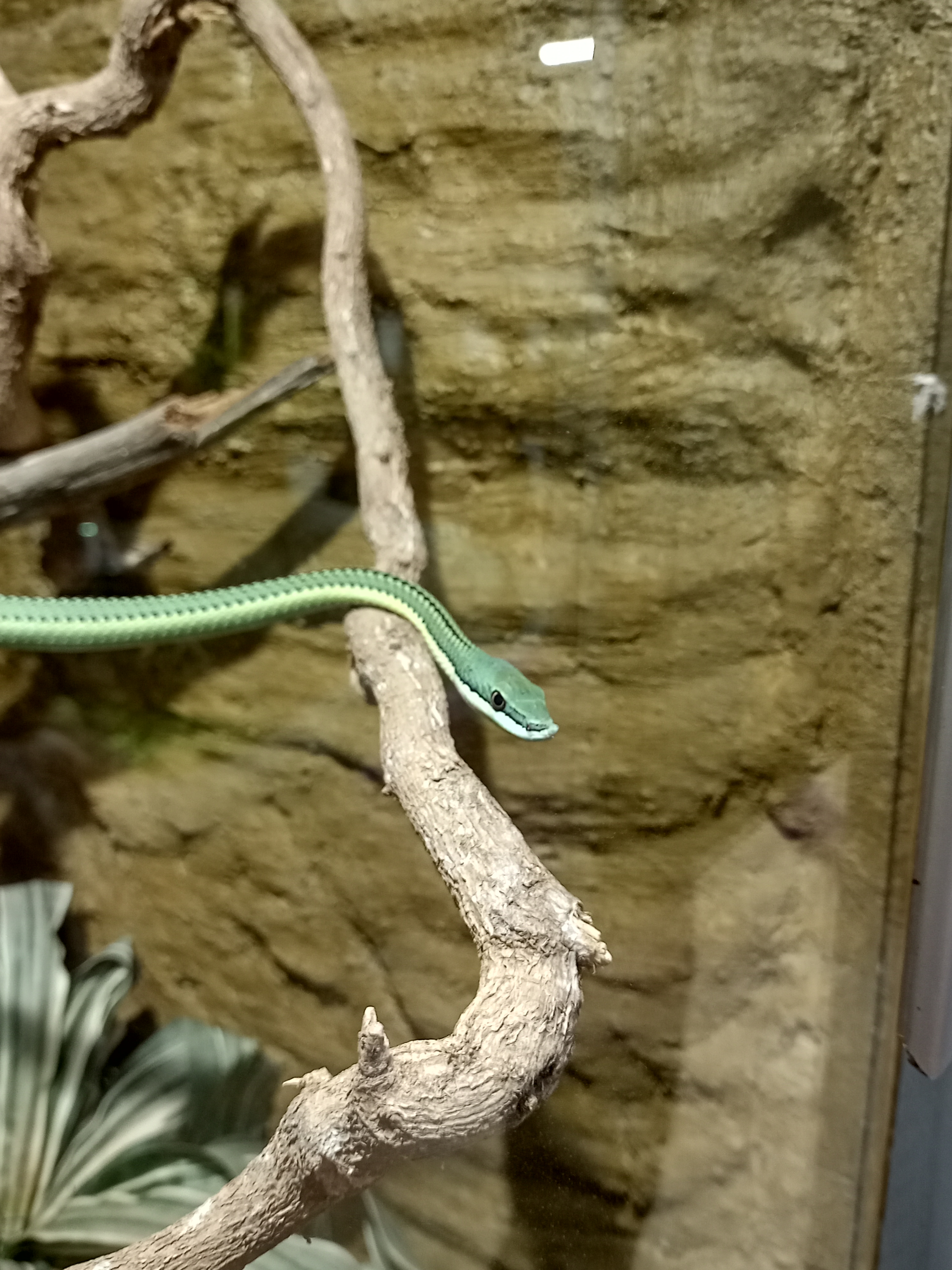 Photo n° 6 de l'avis de Céline. fait le 19/10/2022 à 19:46