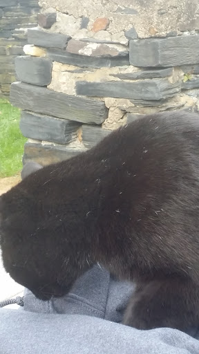 Vineyard «Boordy Vineyards», reviews and photos, 12820 Long Green Pike, Hydes, MD 21082, USA