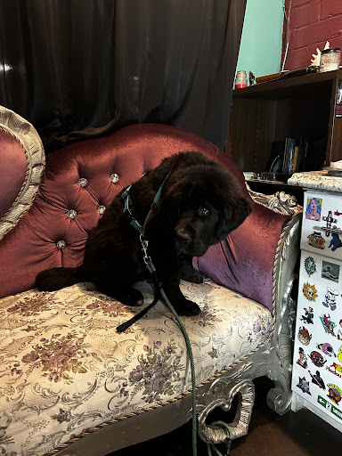 Explore arm tattoo ideas with meaning, creative tattoo ideas in San Diego, available at Sideshow Tattoo and Piercing