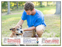 Intrastate Pest Control & American Pest - Photo 1 - Car repair in Charlottesville, VA, Charlottesville