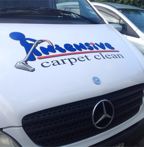 Comments and reviews of Intensive Carpet Clean Tasman