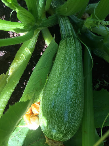 Grocery Store «EL REY MARKET», reviews and photos, 7600 National Turnpike, Louisville, KY 40214, USA