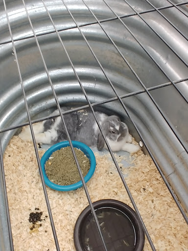 Animal Feed Store «Wilco Farm Store», reviews and photos, 2741 OR-99W, McMinnville, OR 97128, USA