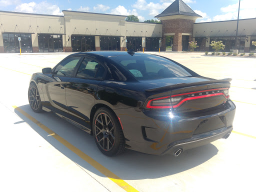 Pet Supply Store «Petco Animal Supplies», reviews and photos, 14609 Airline Hwy Ste 104, Gonzales, LA 70737, USA