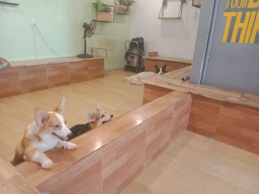 Top 20 cửa hàng chó cảnh Quận Bình Tân Hồ Chí Minh 2022
