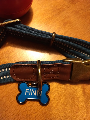 Pet Supply Store «PetSmart», reviews and photos, 777 S Willow St, Manchester, NH 03103, USA