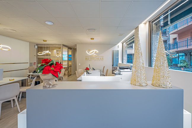 RS Thomas Real Estate · Inmobiliaria Andorra - Encamp