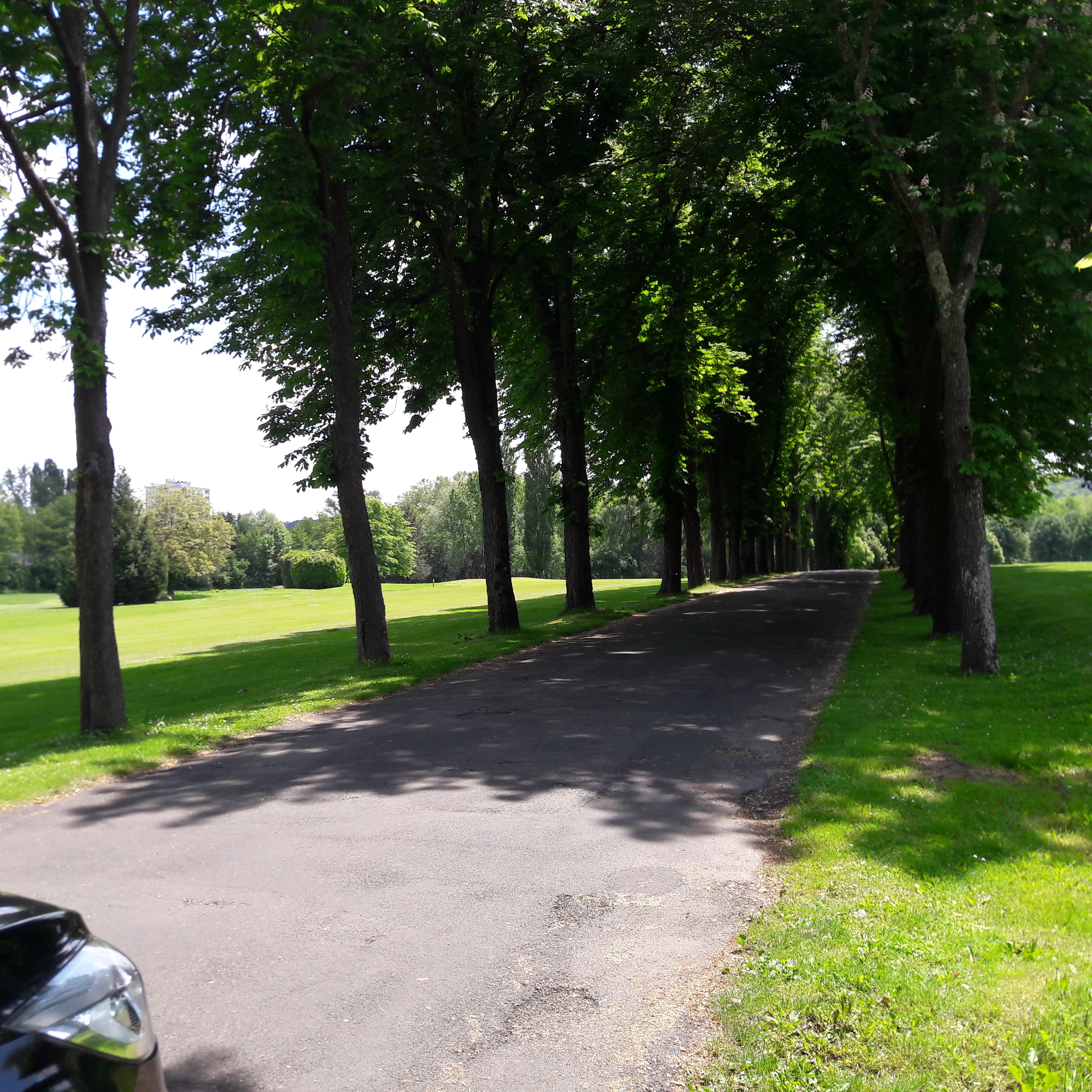 Photo n° 1 de l'avis de Jean.l fait le 22/05/2019 à 18:56