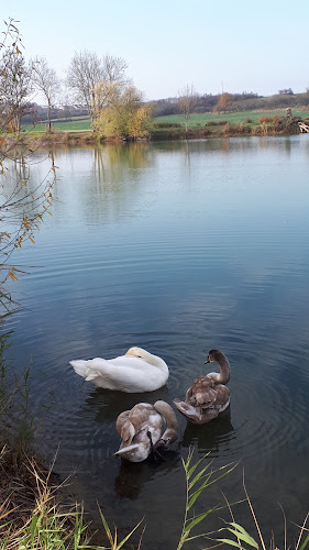 Etang De Sainte-Marie à Manom