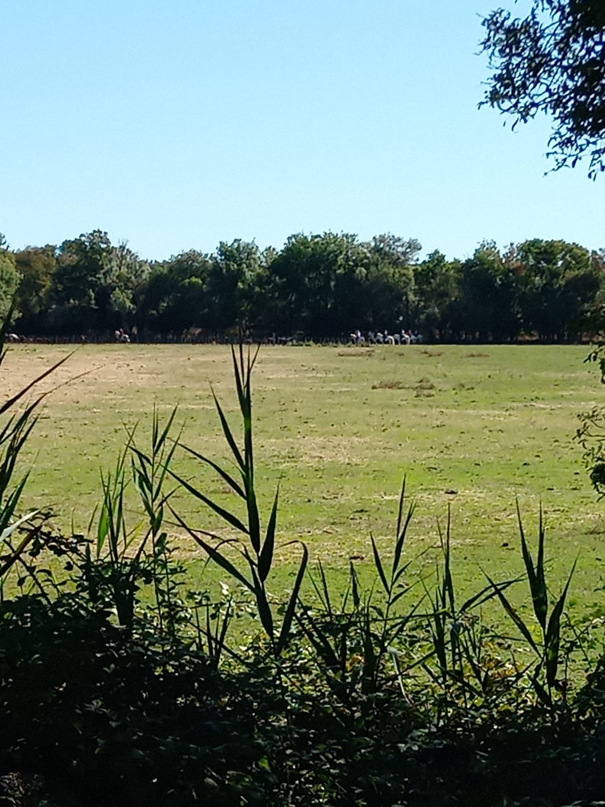 Photo n° 13 de l'avis de Véronique. fait le 21/08/2022 à 17:43