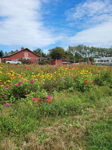 Farm «Sun High Orchards», reviews and photos, 19 Canfield Ave, Randolph, NJ 07869, USA