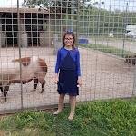 Photo n°6 de l'avis de Santi.a fait le 02/06/2019 à 12:50 sur le  Agriturismo Masseriairisi à Lamezia Terme