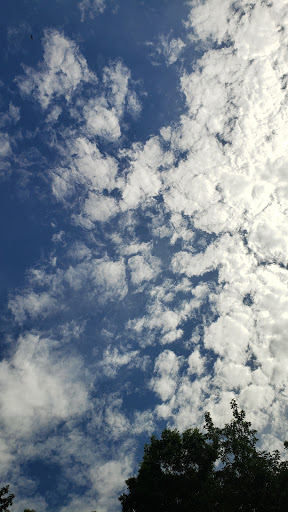 Park «Glendale Park», reviews and photos, 1515 E Ledbetter Dr, Dallas, TX 75216, USA