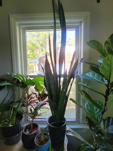 Construction Company «Ameritech Construction Corporation», reviews and photos, 2841 Hartland Rd #306, Falls Church, VA 22043, USA