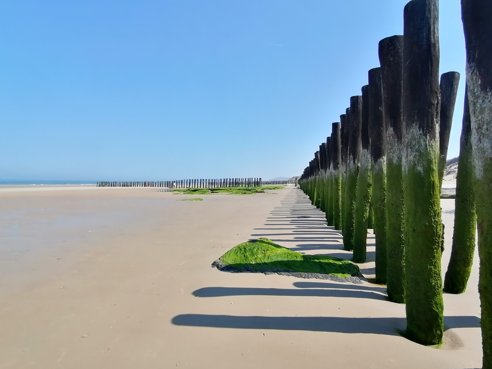 Plage de Wissant photo #8